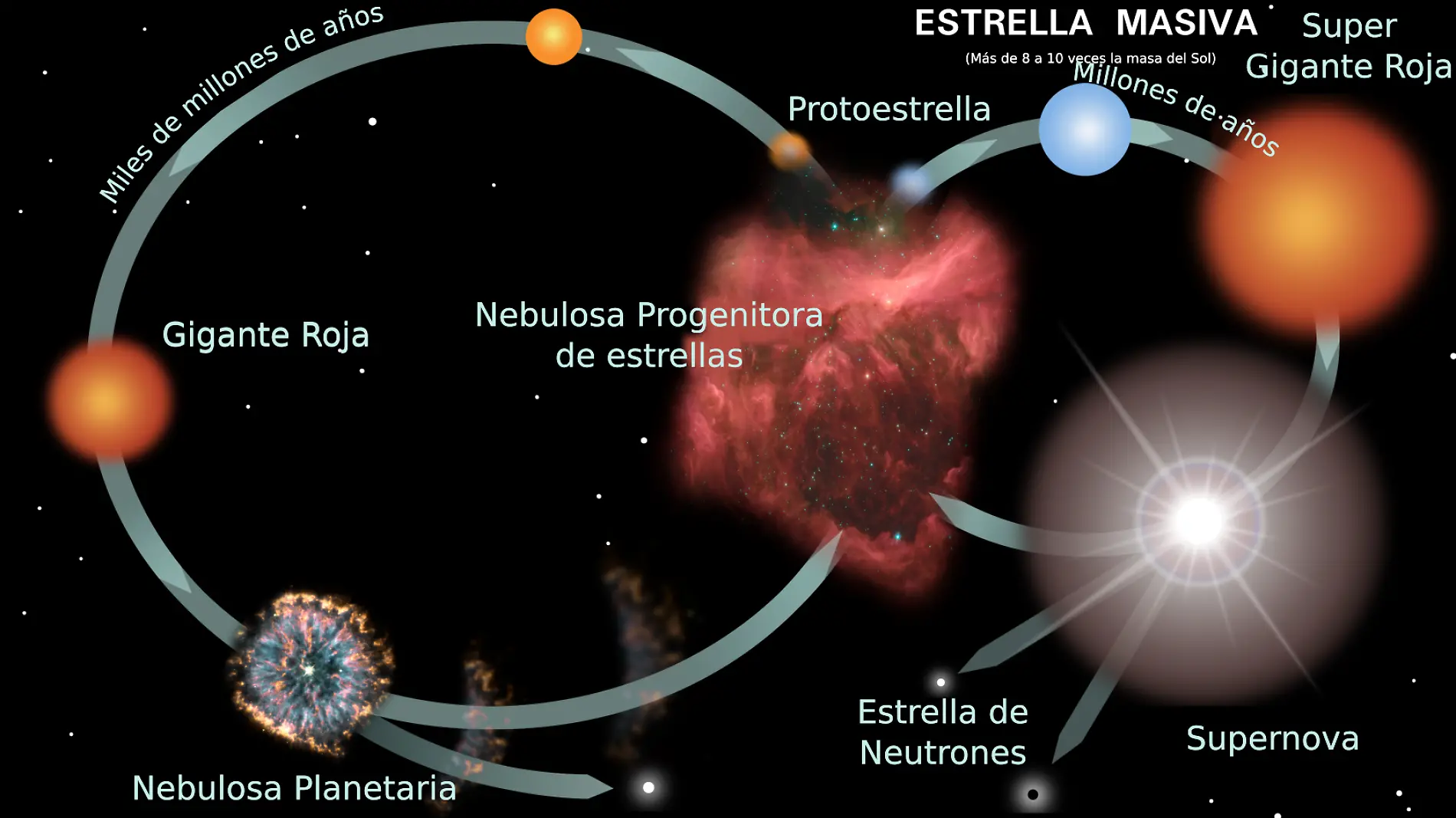 Ciclo de Vida de las Estrellas